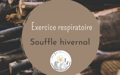 Exercice respiratoire “Le souffle hivernal”